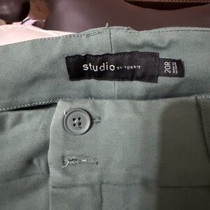 Torrid Studio Green Pants